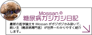 Mossanの糖尿病ガジガジ日記